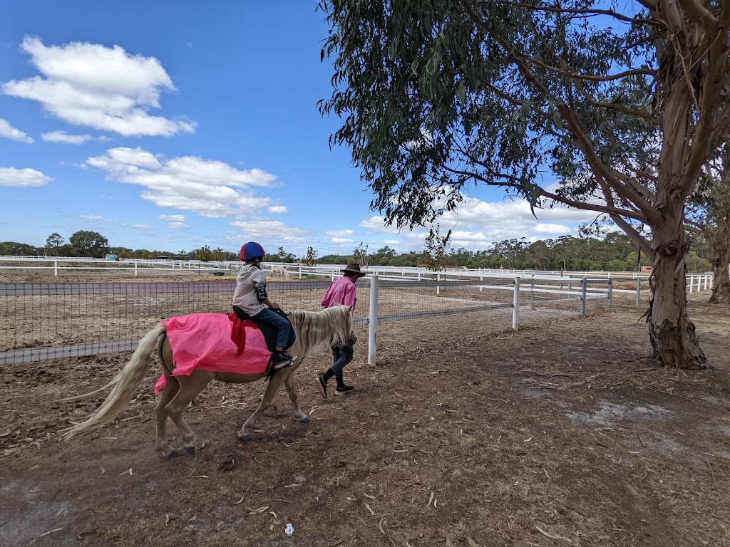 Fantasy Party ponies | 88 Genoli Rd, Quindalup WA 6281, Australia | Phone: 0417 937 637