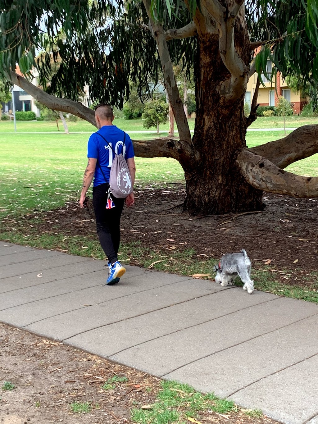 Hobsons Bay Obedience Dog Club | 1 Tucker Ave, Port Melbourne VIC 3207, Australia | Phone: 0408 969 953