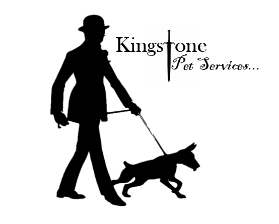 KingstonePetServices | 18 Highland St, Gordon Park QLD 4031, Australia | Phone: 0499 040 122