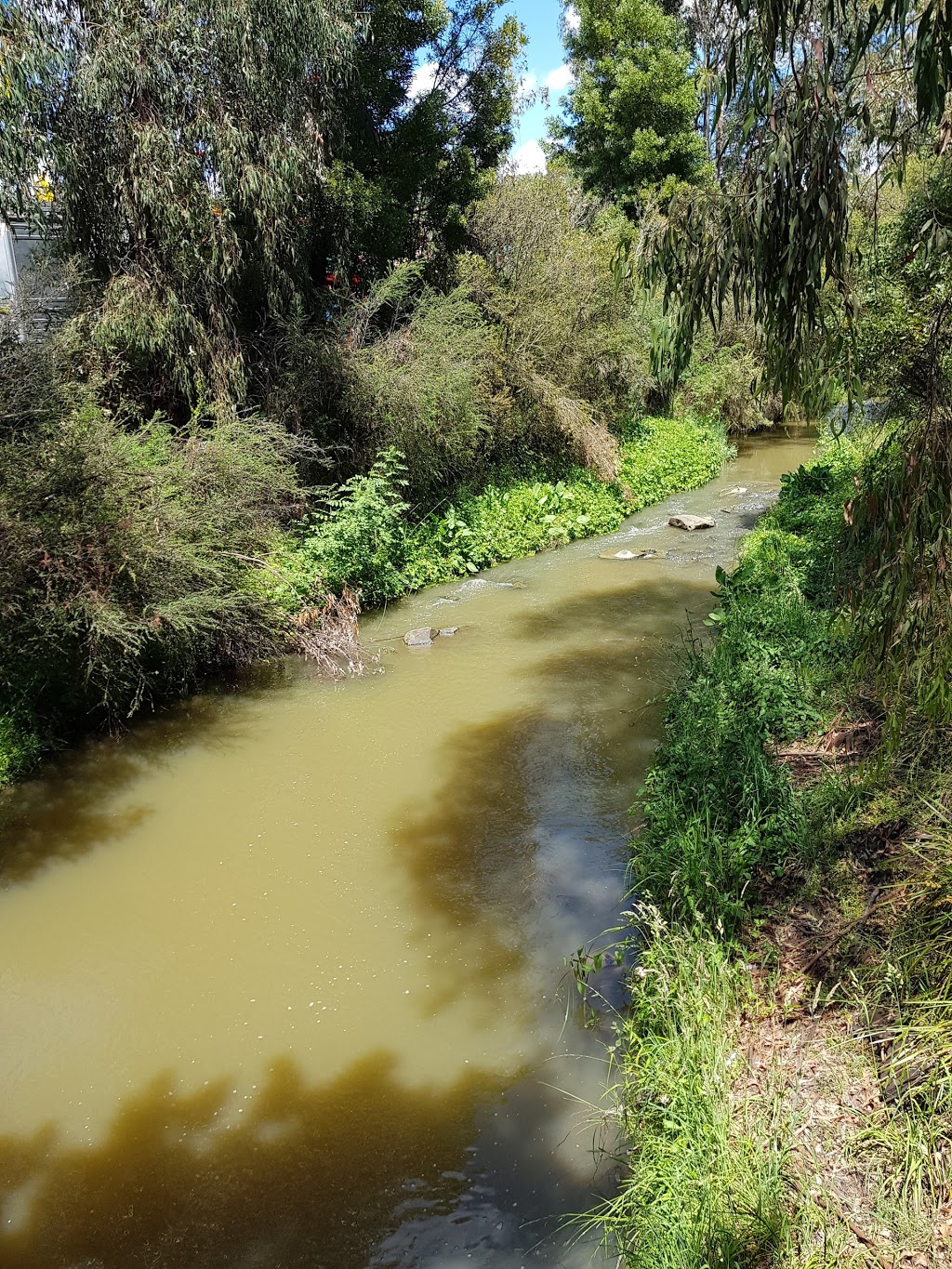 Wicks Reserve | park | The Basin VIC 3154, Australia