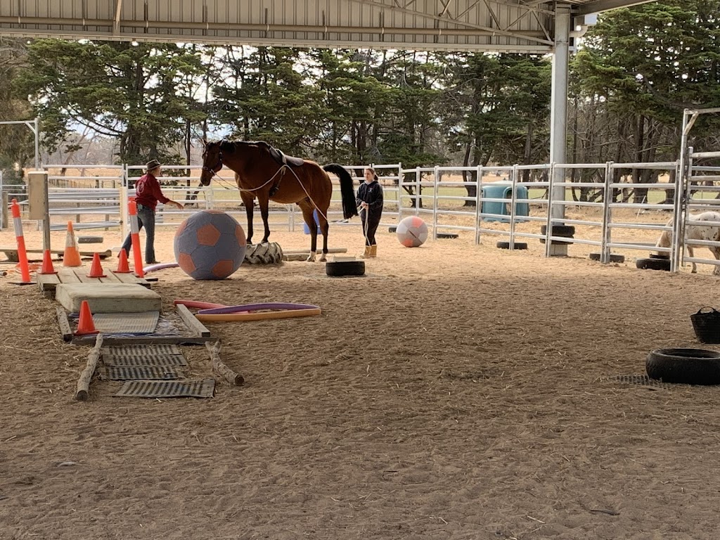Bellview Connection Equine Assisted Therapy & Counselling | 258 Glue Pot Rd, Pomonal VIC 3381, Australia | Phone: 0429 353 680