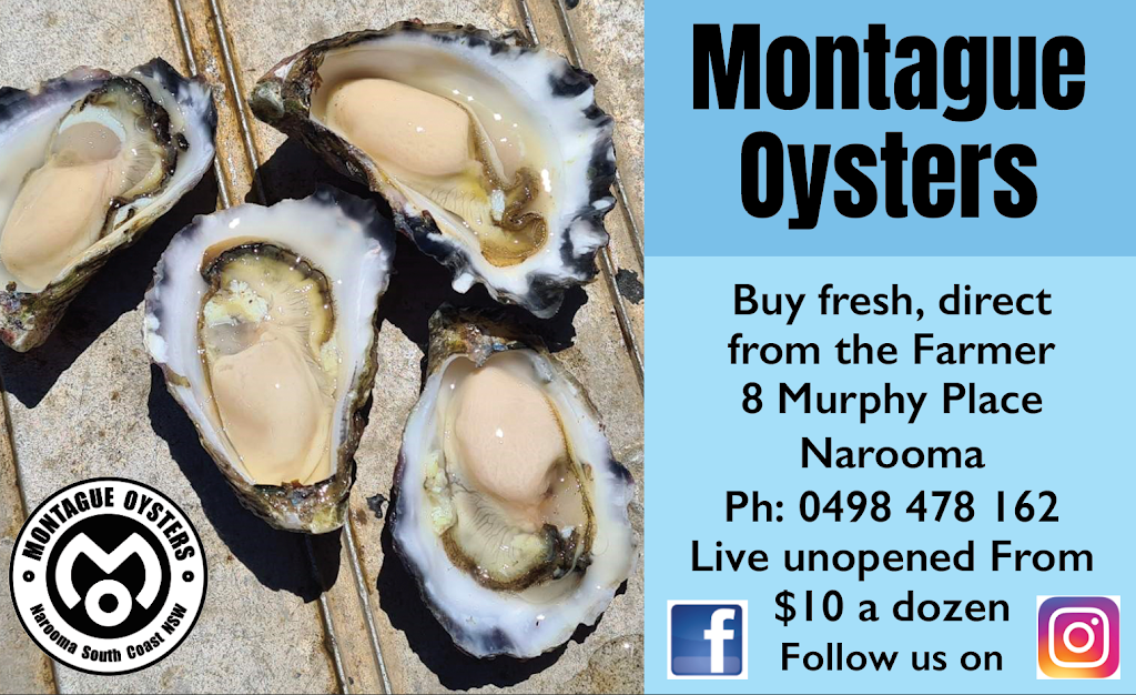 Montague Oysters |  | 8 Murphy Pl, Narooma NSW 2546, Australia | 0498478162 OR +61 498 478 162