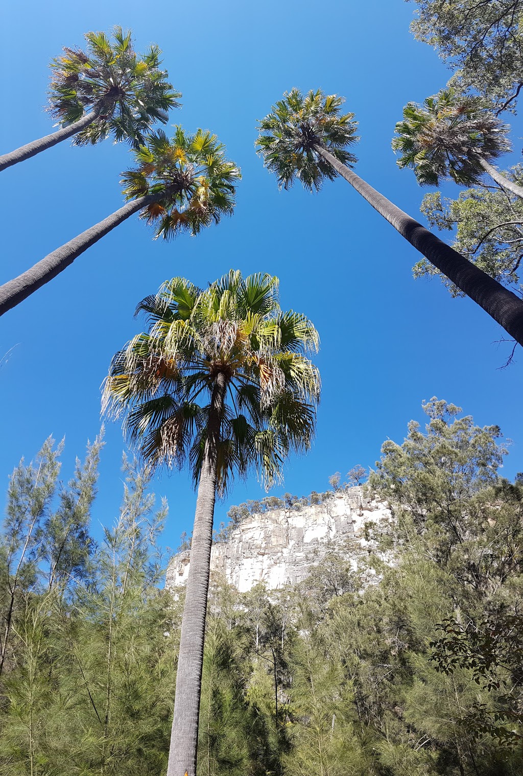 Carnarvon National Park | Nandowrie QLD 4722, Australia