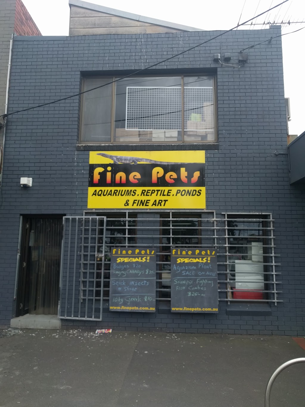 Fine Pets | 34 Fitzgerald St, Portland VIC 3305, Australia | Phone: 0422 554 872