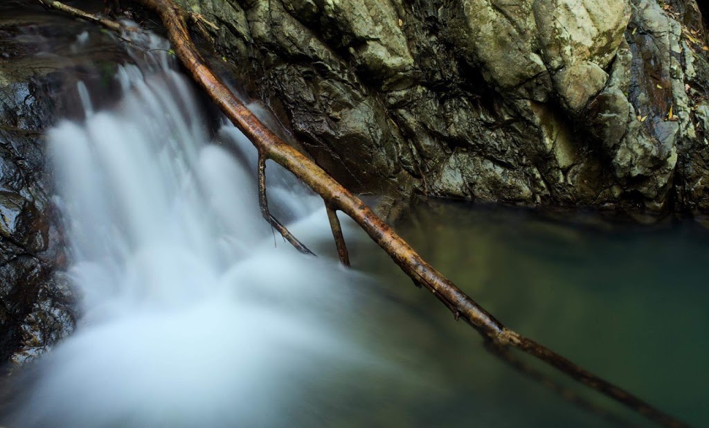 Cougal Cascade | park | Currumbin Valley QLD 4223, Australia