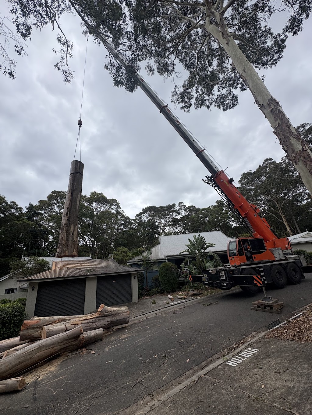 Coastal Trees | 94 Aloha Dr, Chittaway Bay NSW 2261, Australia | Phone: 0402 661 491