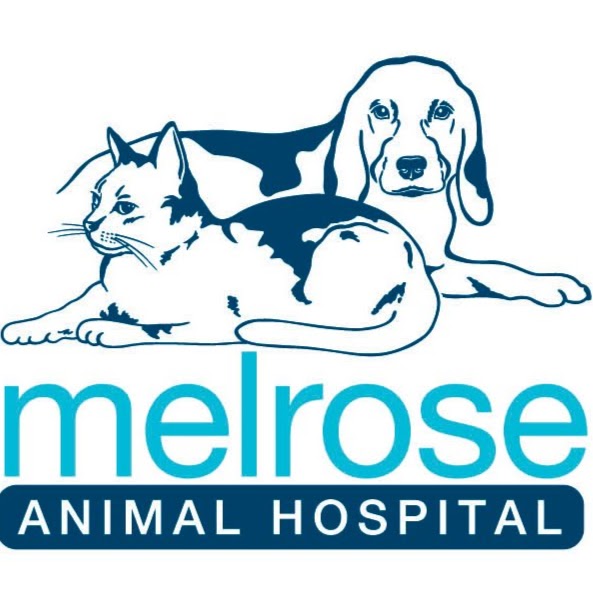 Melrose Animal Hospital | Cnr Melrose Drive and Brockley St, Wodonga VIC 3690, Australia | Phone: (02) 6056 1544