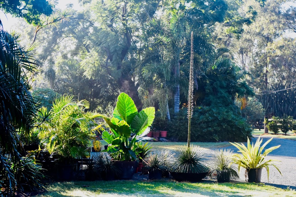 Greenery - The Garden Nursery | park | 239 - 255 Scott Lane, North MacLean QLD 4280, Australia | 0414779910 OR +61 414 779 910