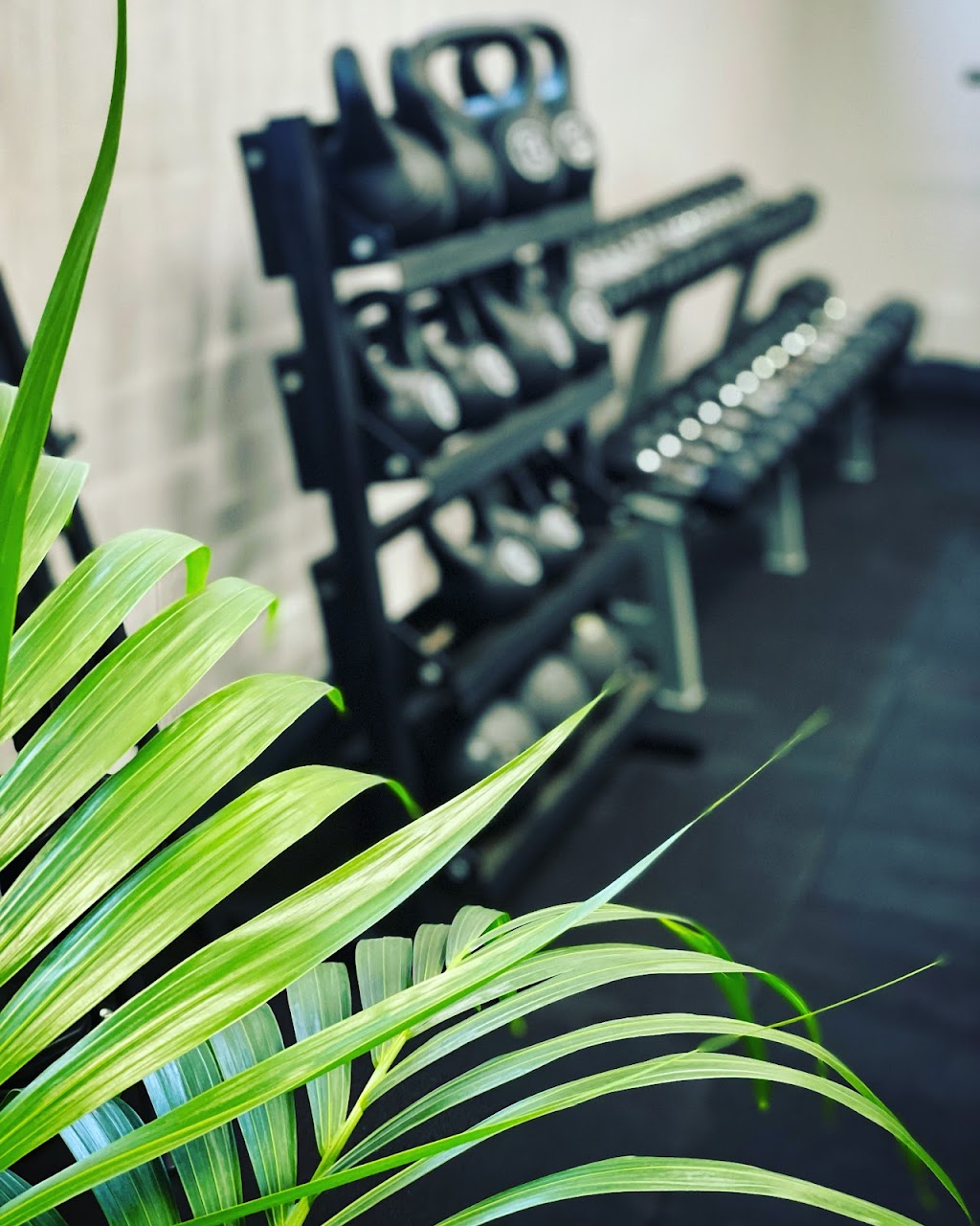 The Gym Bar AUS | 1 Tepko Rd, Terrey Hills NSW 2084, Australia | Phone: 0401 794 227