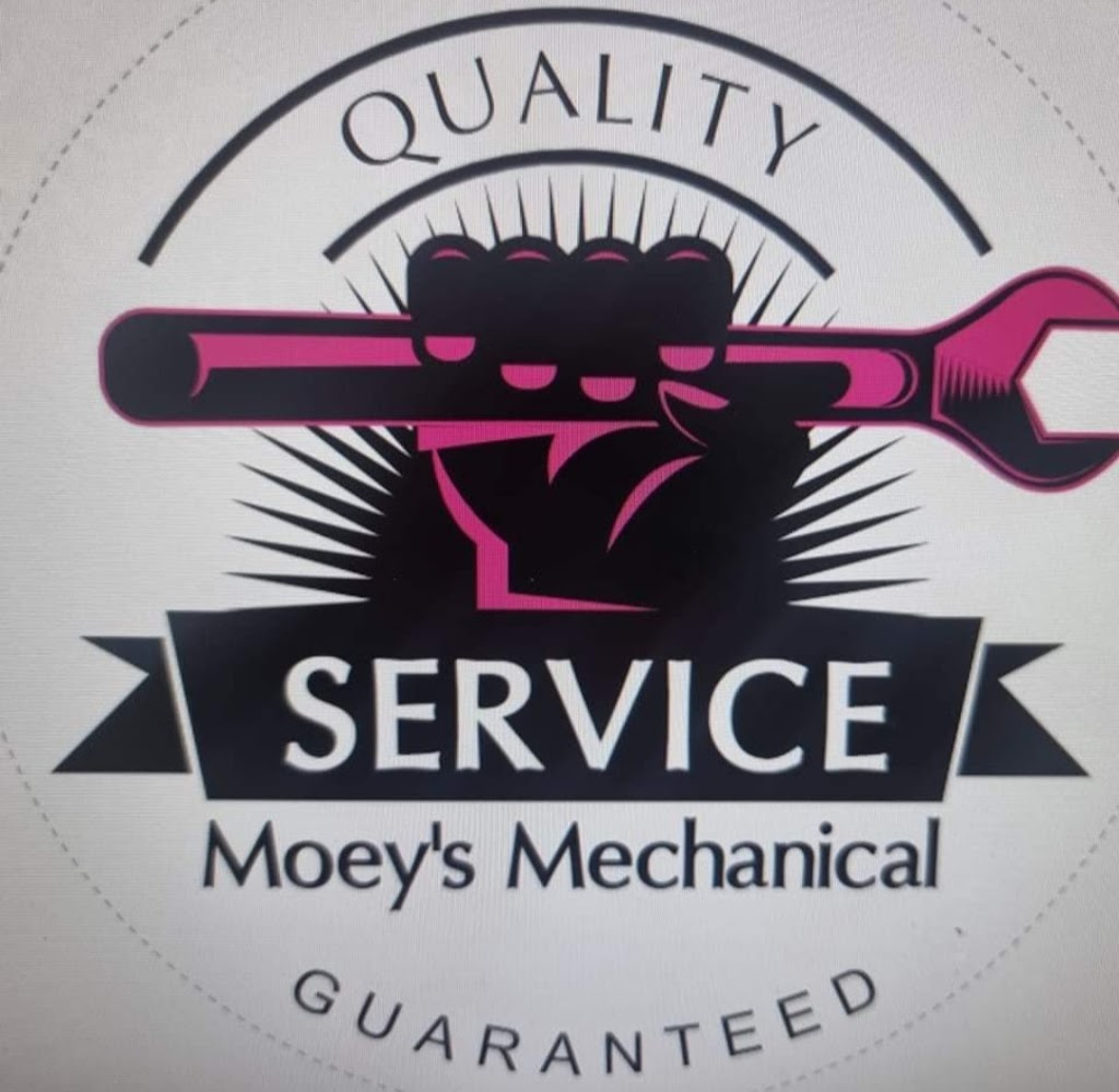 Tankhan Amstaffs | 4 Norfolk Dr, Hidden Valley QLD 4703, Australia | Phone: 0419 799 671