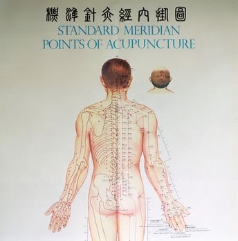 Essential Wellbeing Acupuncture | 131A Glengyle Terrace, Plympton SA 5038, Australia | Phone: 0411 749 917