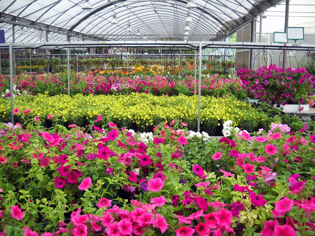 The Gardeners Nursery |  | 899 Thomas Rd, Anketell WA 6167, Australia | 0894191523 OR +61 8 9419 1523