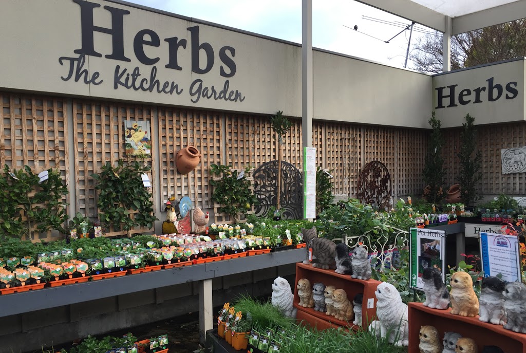 Poyntons Nursery and Garden Centre, Cafe & Homewares | 98 Vida St, Essendon VIC 3040, Australia | Phone: (03) 9337 8111