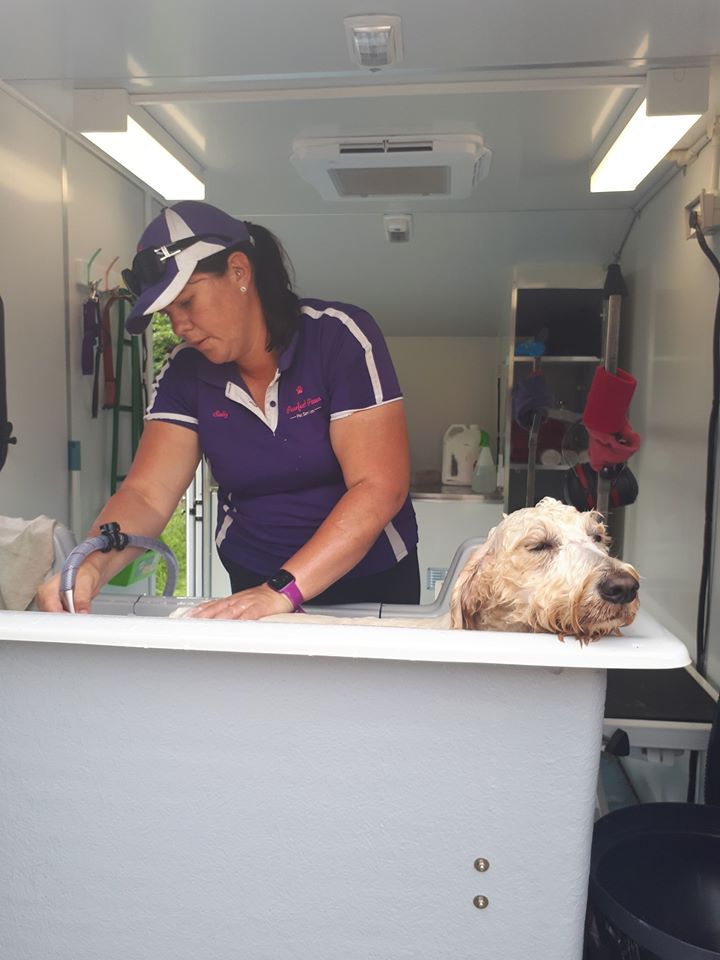 Prestige Mobile Grooming Salons | 63 Biddaddaba Creek Rd, Biddaddaba QLD 4275, Australia | Phone: 0418 860 453