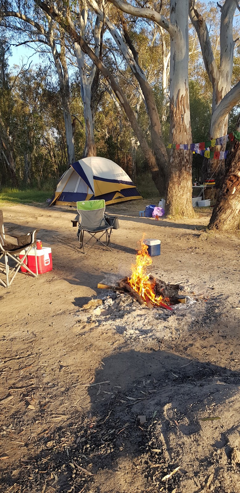Major creek reserve camp spot | lodging | Major Creek, Mitchellstown VIC 3608, Australia