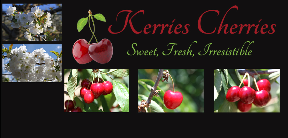 Kerries Cherries | store | 449 Yundi Rd, Yundi SA 5172, Australia | 0428186001 OR +61 428 186 001