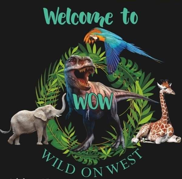 Wild on West | 225 Poimena Rd, West Mooreville TAS 7321, Australia | Phone: 0418 302 870