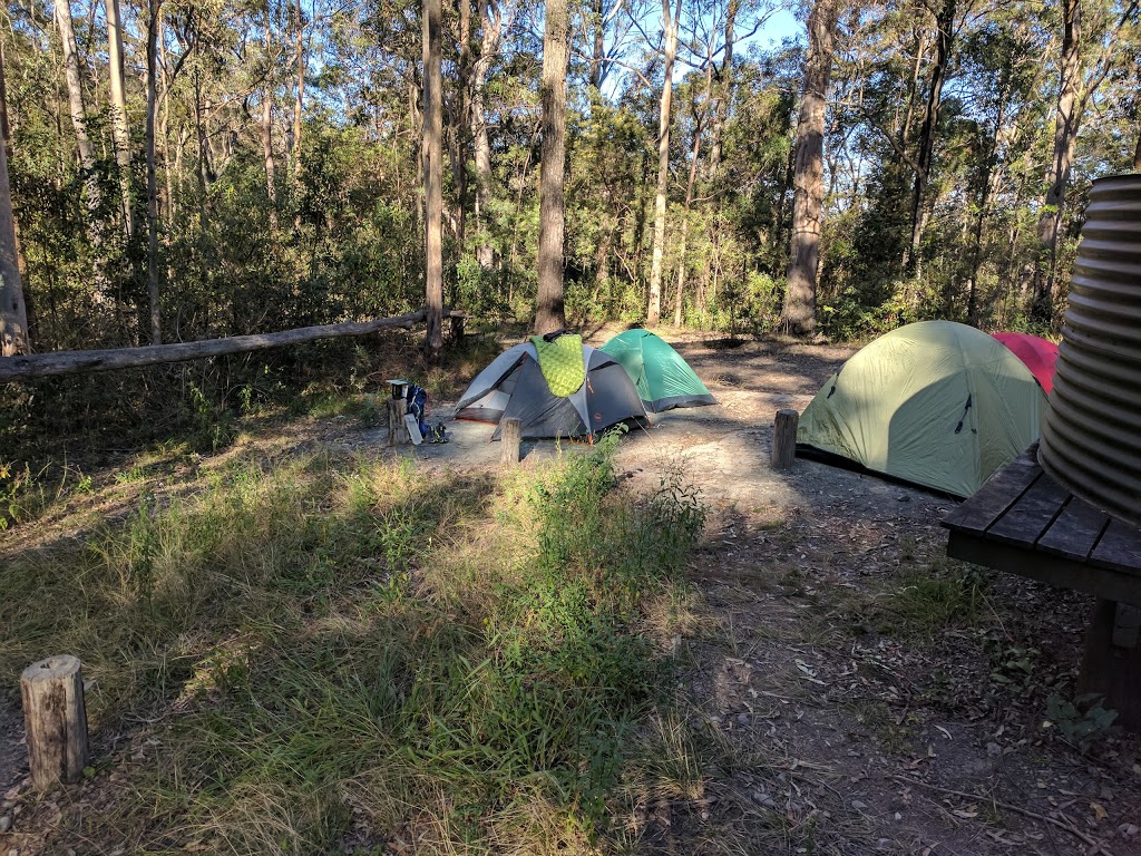 Scrub Road Bush Camp | campground | S Boundary Rd, Lake Manchester QLD 4306, Australia | 1800771497 OR +61 1800 771 497