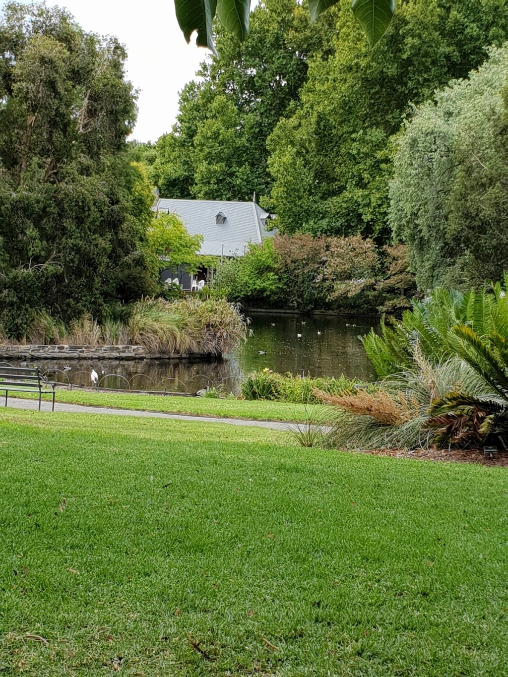 Adelaide Botanic Garden | park | Hackney Rd, Adelaide SA 5000, Australia | 0882229311 OR +61 8 8222 9311