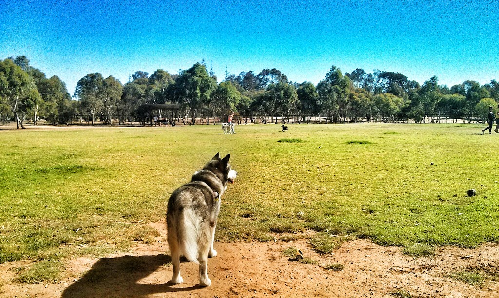 North Adelaide Dog Park | park | Robe Terrace, North Adelaide SA 5006, Australia