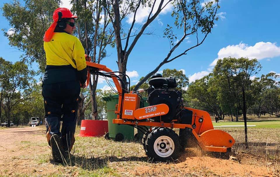 Cut Above Tree Care | 2 Queen St, Roma QLD 4455, Australia | Phone: 0412 303 650