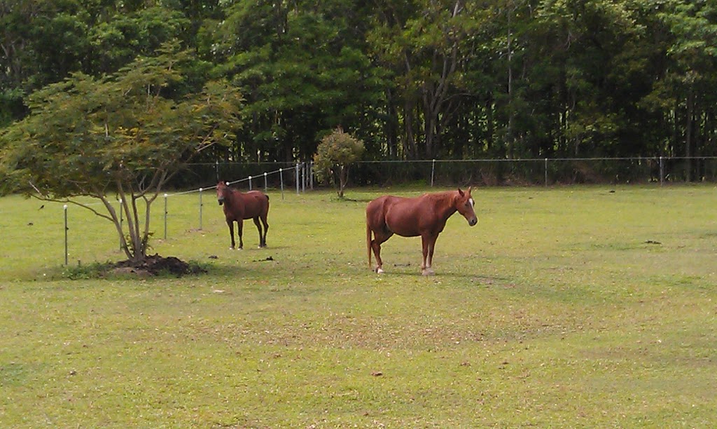 Redlynch Equestrian Park | Redlynch Intake Rd, Redlynch QLD 4870, Australia | Phone: (07) 4044 3044