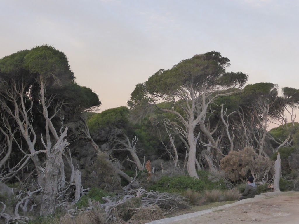 Green Cape Lighthouse | Green Cape Lighthouse Rd, Green Cape NSW 2551, Australia | Phone: (02) 6495 5000