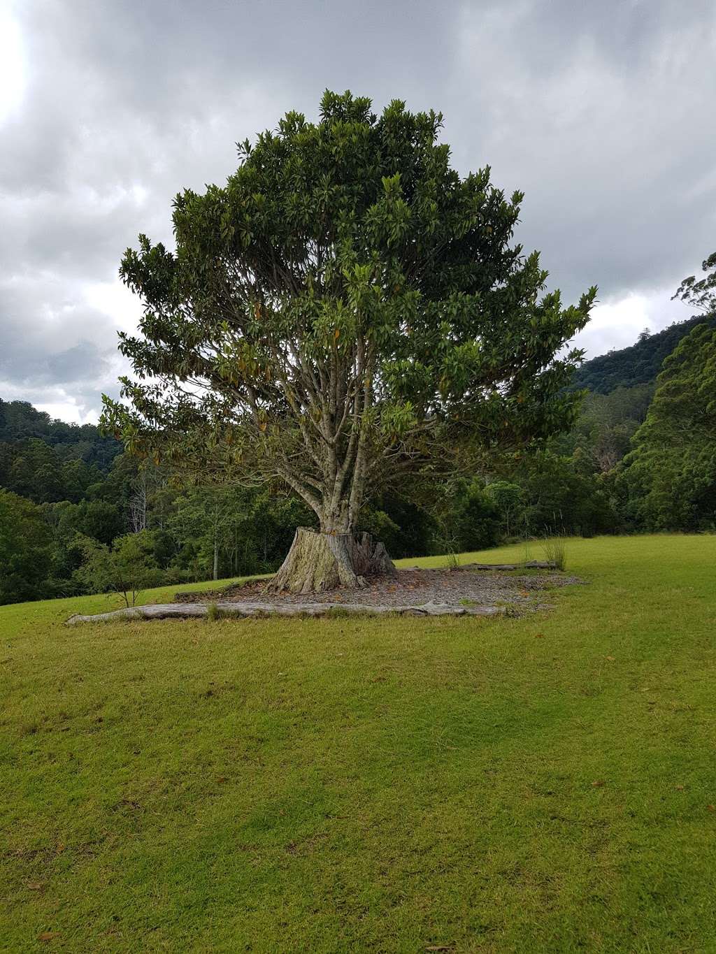 Mount Clunie Cabins | lodging | Mount Clunie Rd, Woodenbong NSW 2476, Australia | 0746665118 OR +61 7 4666 5118