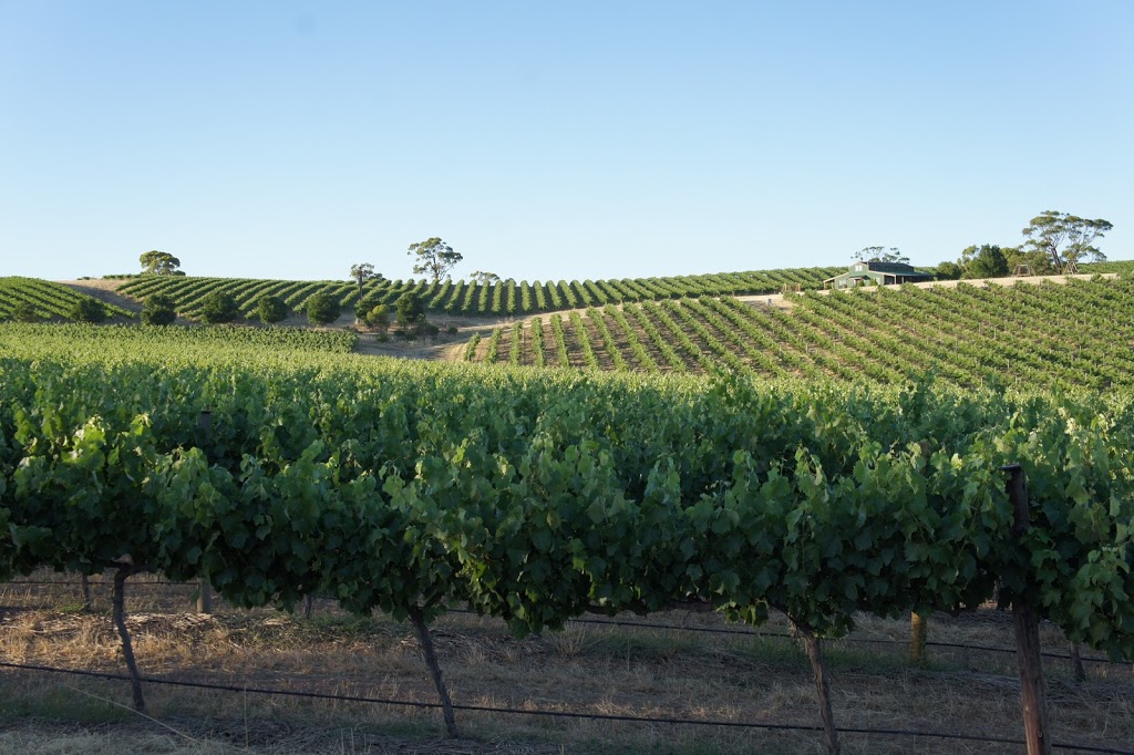 MOOLANDA Vineyard | 296 Rosedale Scenic Rd, Lyndoch SA 5351, Australia | Phone: 0409 693 828