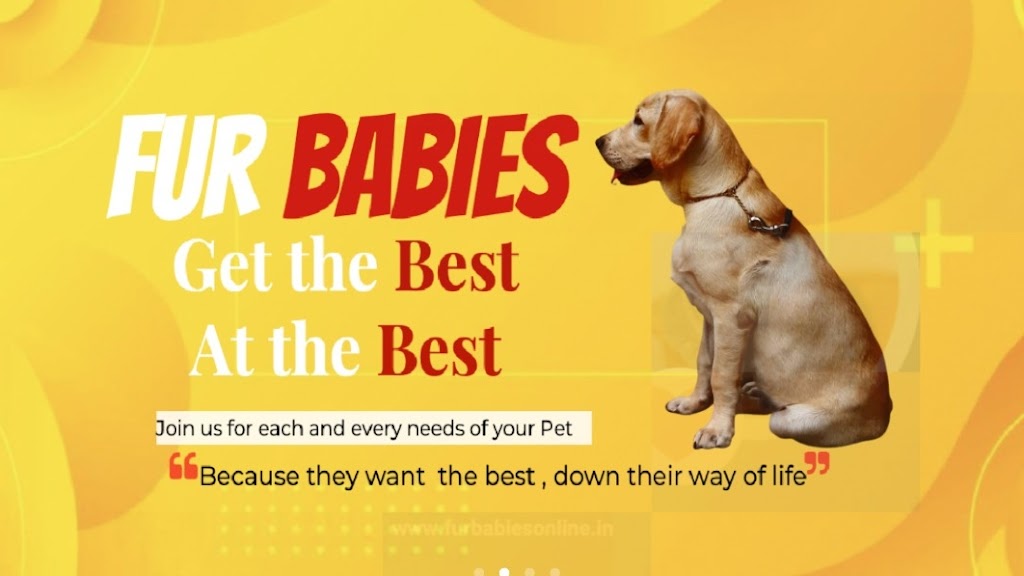 Fur Babies | pet store | Unit A2/167 Edwards St, Melrose Park SA 5039, Australia | 0424826256 OR +61 424 826 256