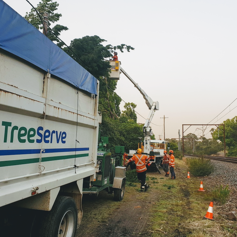 TreeServe | 785-811 Wallgrove Rd, Horsley Park NSW 2175, Australia | Phone: (02) 9620 2060