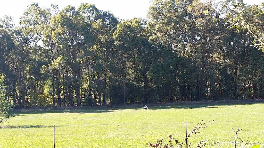 Black Cockatoo Reserve | park | 1750 Jarrah Rd, Mundaring WA 6073, Australia