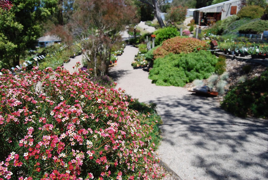 Austplant Nursery & Gardens | park | 249 Purves Rd, Arthurs Seat VIC 3936, Australia | 0359896120 OR +61 3 5989 6120