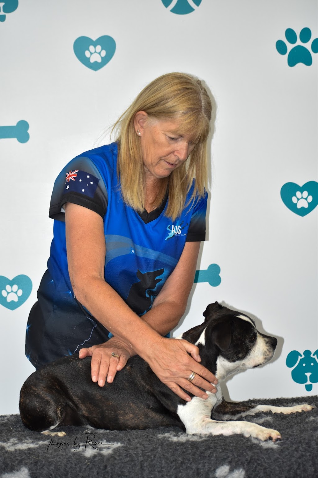 Synergy Canine Wellness and Training | 95 Bengworden Rd, Bairnsdale VIC 3875, Australia | Phone: 0407 526 993