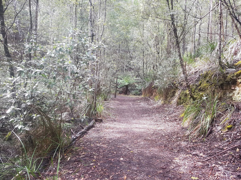 Fernglade Reserve Lookout | 137 Rutherford Rd, Stowport TAS 7321, Australia