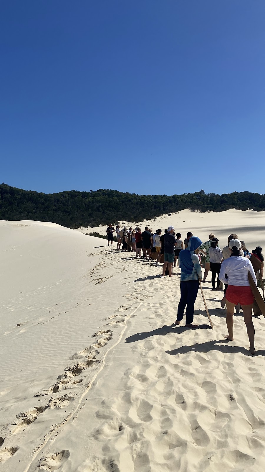 Tangalooma Desert Safari Tour | Tours Desk, Tangalooma QLD 4025, Australia | Phone: (07) 3637 2000