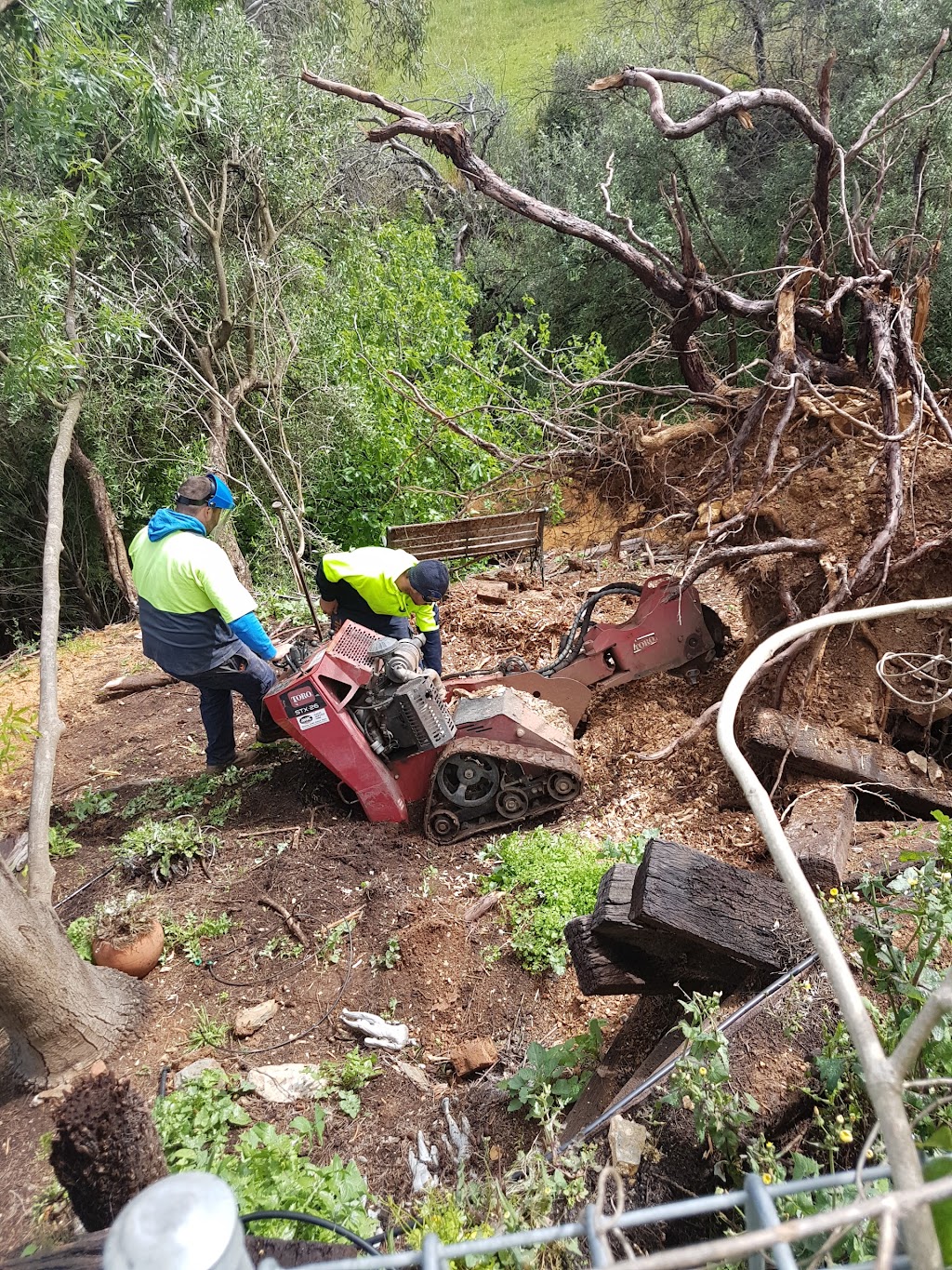 TJA Tree Services | 16 Krawarri St, Lonsdale SA 5160, Australia | Phone: 0408 920 284