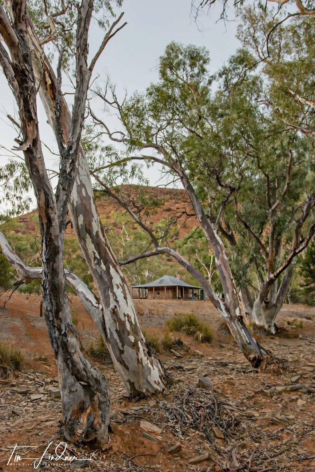 Alpana Station | lodging | Flinders Ranges Way, Blinman SA 5730, Australia | 0886484626 OR +61 8 8648 4626