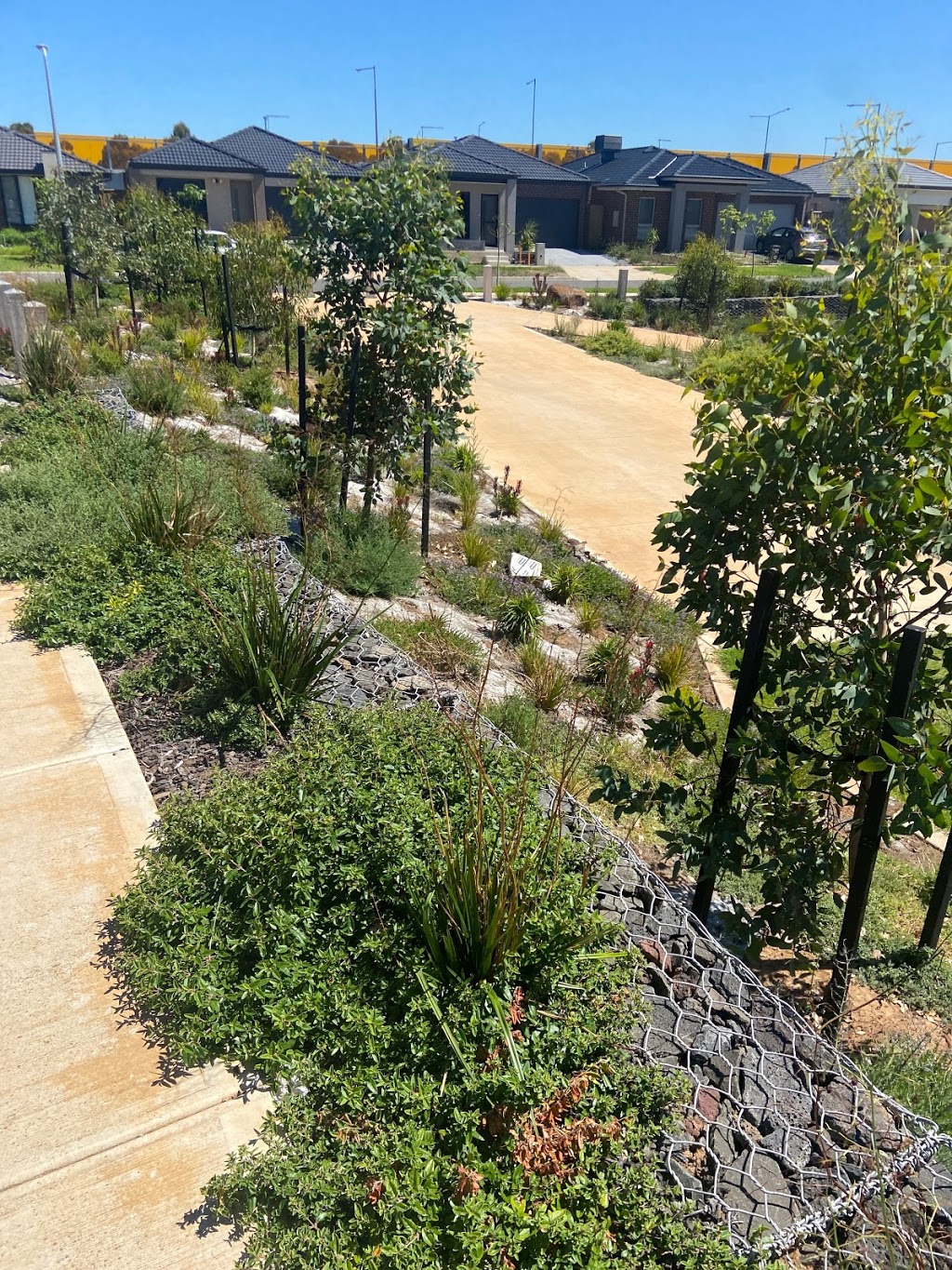 Life point cook wetlands | park | 4 Gershwin Cr, Point Cook VIC 3030, Australia