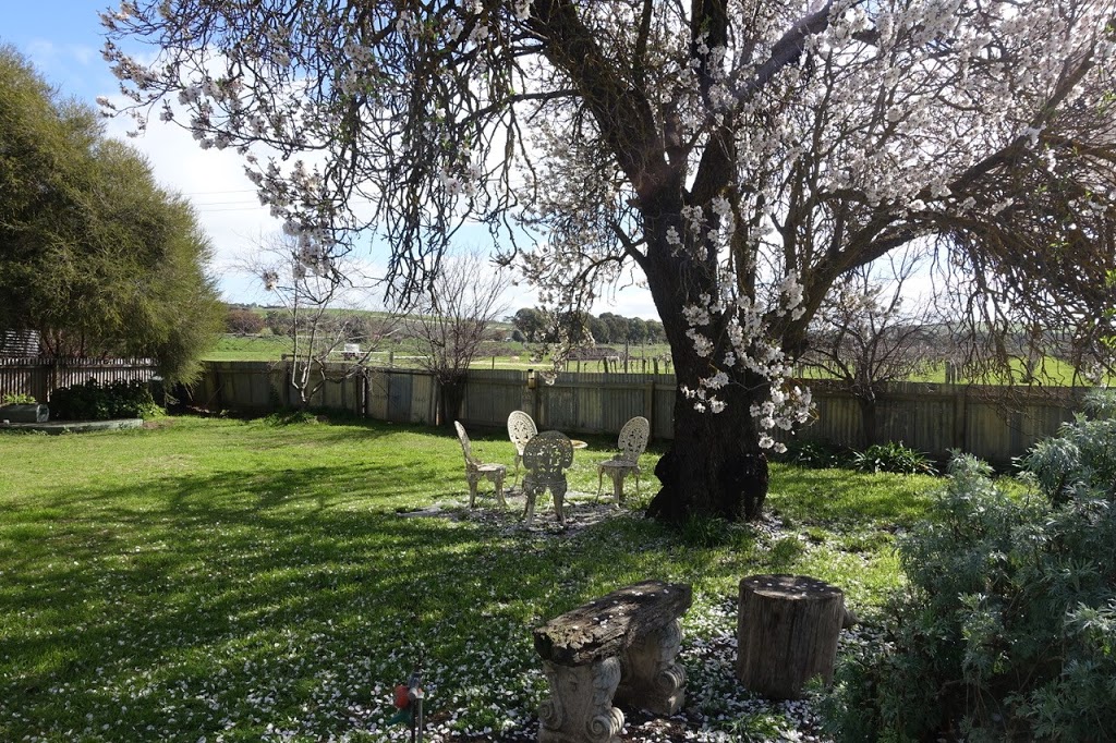 Almond Tree Cottage | lodging | 19 Archer St, Auburn SA 5451, Australia | 0408492281 OR +61 408 492 281