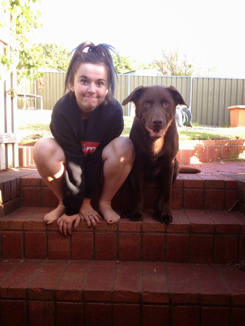 Shaggy Business Professional Dog Grooming | 6 Bayvue Cl, Carrickalinga SA 5204, Australia | Phone: 0402 781 548