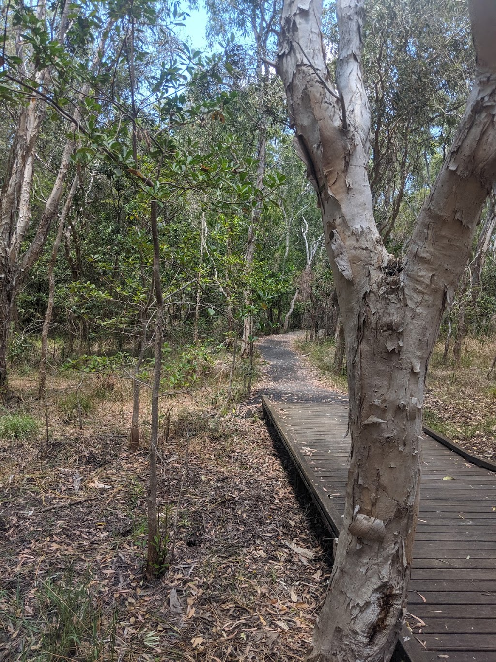 Kommo Toera Trail | park | Mackay Harbour QLD 4740, Australia