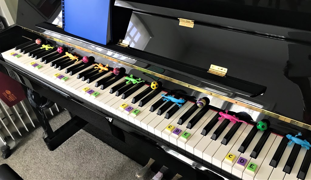 Piano with a Smile | electronics store | 77 Armstrong Rd, Cannon Hill QLD 4170, Australia | 0410704385 OR +61 410 704 385