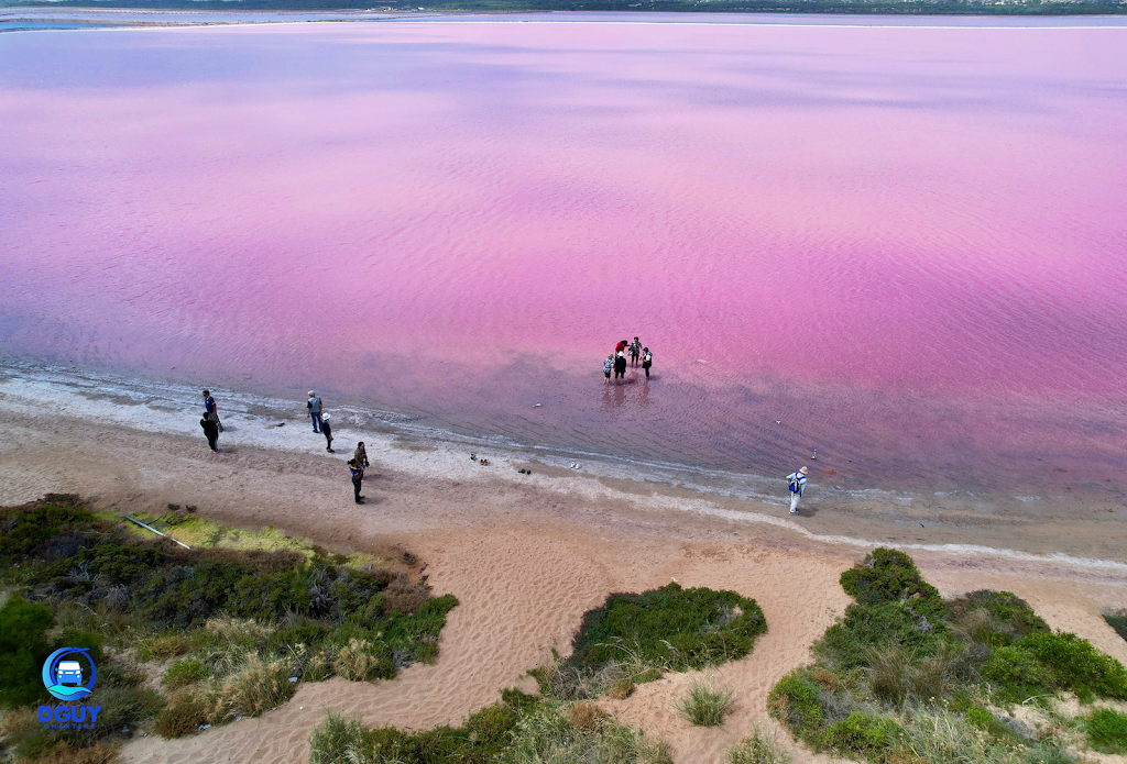 DGuy Charters - Kalbarri Tours | 12 Karina Mews, Kalbarri WA 6536, Australia | Phone: 0497 906 969