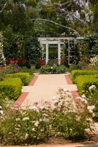 The Rex Hazlewood Rose Garden | park | Queen Victoria Tce, Parkes ACT 2600, Australia | 0262712888 OR +61 2 6271 2888