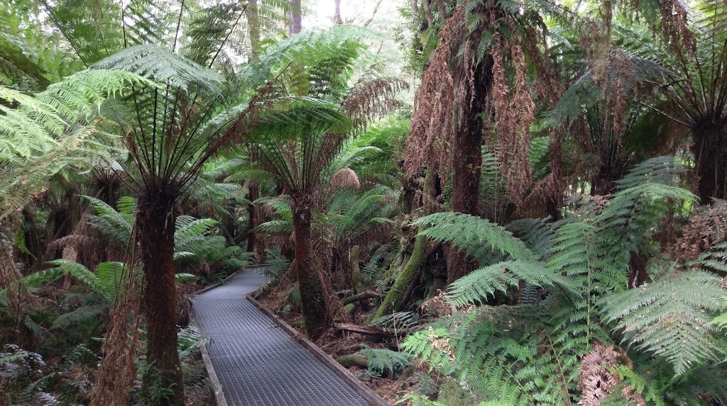 Triplet Falls And Little Aire Falls Carpark | parking | Wyelangta VIC 3237, Australia