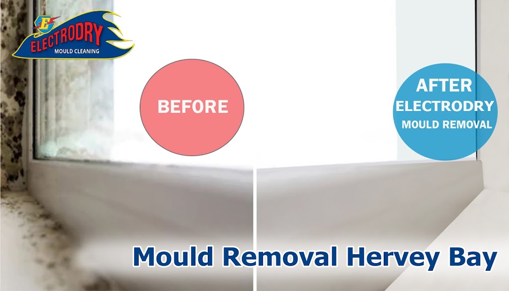 Electrodry Mould Removal Hervey Bay | 1/9 Hastings St, Noosa Heads QLD 4567, Australia | Phone: 1300 132 713