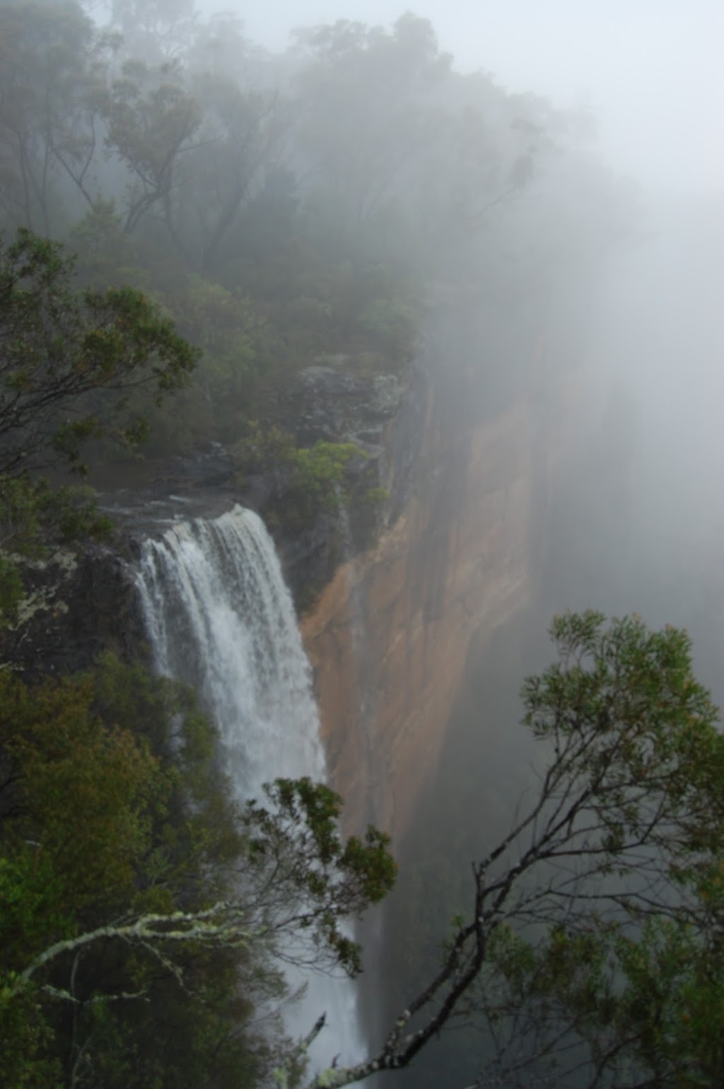 Fitzroy Falls Visitor Centre | travel agency | 1301 Nowra Rd, Fitzroy Falls NSW 2577, Australia | 0248877270 OR +61 2 4887 7270