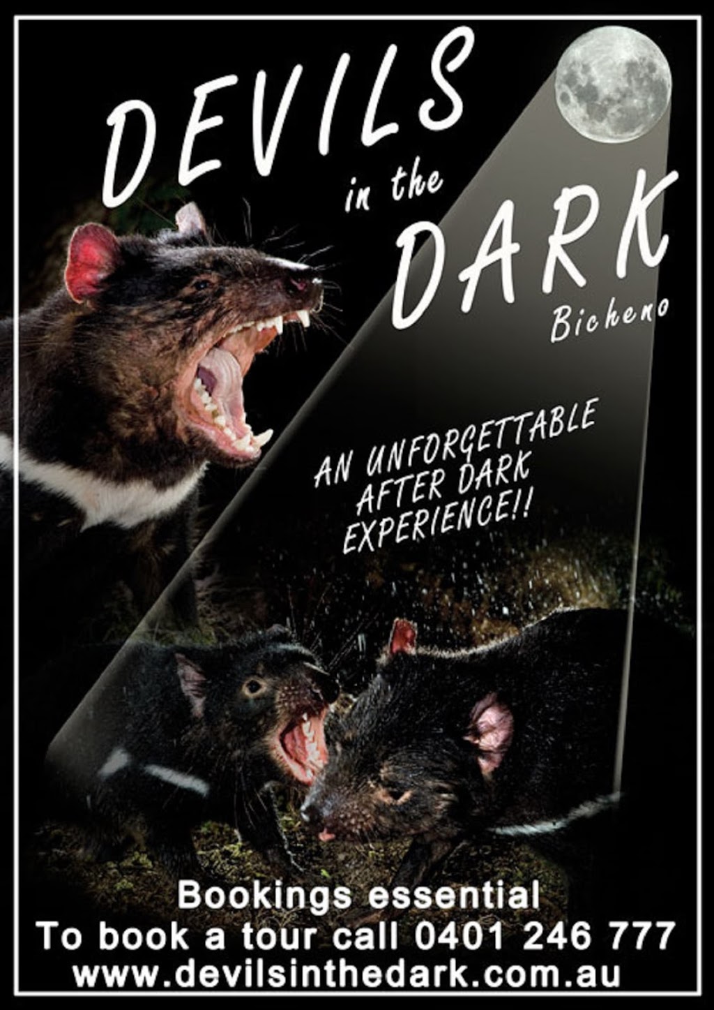 Devils in the Dark | tourist attraction | 18356A Tasman Hwy, Bicheno TAS 7215, Australia | 0401246777 OR +61 401 246 777