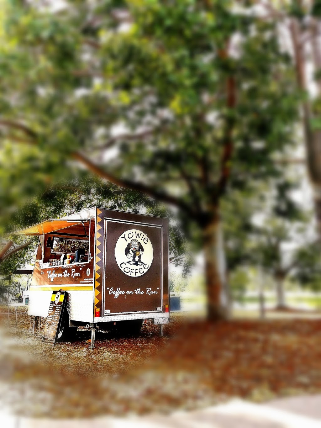 Yowie Coffee | Yowie Park, Kilcoy QLD 4515, Australia | Phone: 0400 540 015